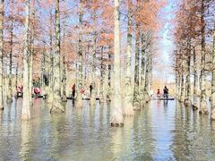 -泗洪洪泽湖湿地景区