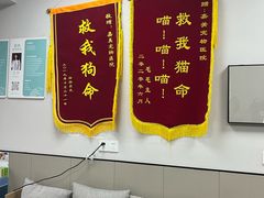 -嘉美宠物医院