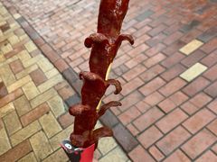 黑色经典老长沙大香肠-黑色经典臭豆腐·湖南特产(潇湘文化店)