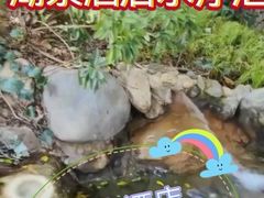 -湖泉半山温泉