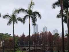 -厦门园林博览苑