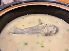 白汤河豚鱼-天正河鲀·河豚亭(大连店)