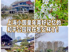 -和平公园