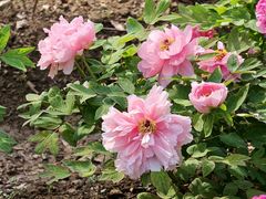 -江南大学(蠡湖校区)