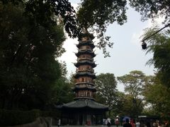 -上海佘山国家森林公园西佘山园