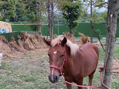 -中国天府农业博览园