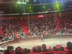 -俄罗斯国家大马戏团