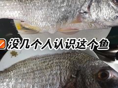 -浦商菜市场·锦德店