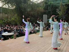-呀路古热带植物园