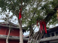 -黄龙溪古镇