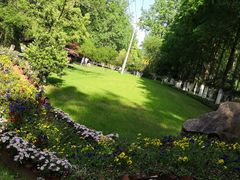 -合肥滨湖国家森林公园