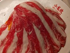 -小龙坎火锅(全球旗舰店)