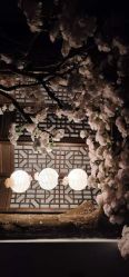 点击看大图 -盘子女人坊生日照·摄影馆(浦东店)