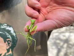 -农厨好味·温泉鹅·农家菜