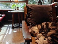 -咖法森林·咖啡  酒吧(天河店)