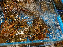 -东海怡品海鲜豆捞(星街坊店)