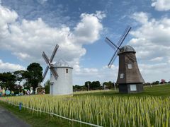 -歌斐颂巧克力小镇