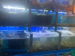 -老东镇啤酒屋海鲜加工·蒸汽海鲜·海鲜烧烤(台东店)