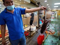 -寻味顺德·南记酒家·传统顺德菜·鱼生(广源路店)