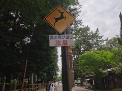-奈良公园