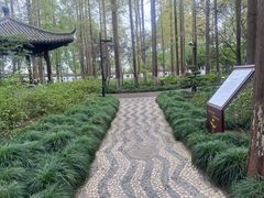 -瀛洲公园