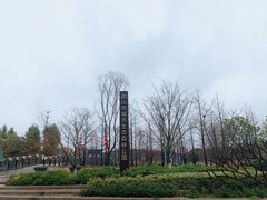 -昆山城市生态森林公园