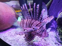 -沈阳海洋探索中心