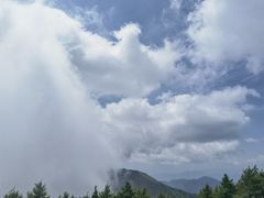 -白草畔自然风景区