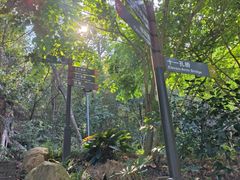 -深圳仙湖植物园