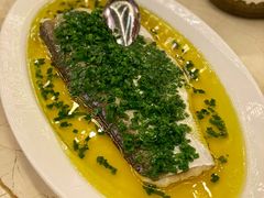 葱油蒸白水鱼-玫瑰厅上海菜(兴国路店)