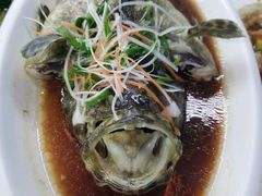 石斑鱼-范饭椰林川湘味海鲜·椰子鸡(三亚湾椰梦长廊店)
