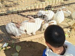 -栾川竹海野生动物园