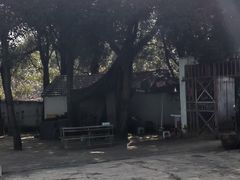 -东湖小天池真人CS彩弹野战基地