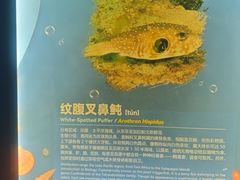 -重庆欢乐海底世界