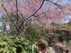 -自然谷恐龙园