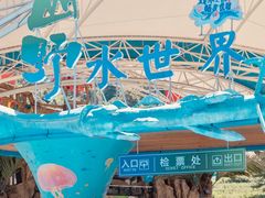 -虎啸峡漂流