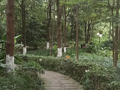 -成都市活水公园
