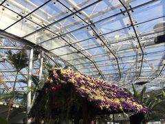 -北京植物园-展览温室