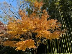 -张江润和国际总部园