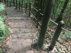 -武吉知马自然保护区