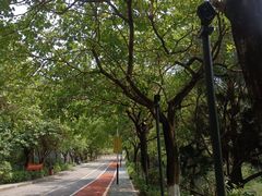 -水濂山森林公园