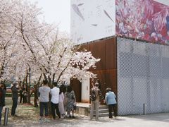 -柯达真美(老重庆中路店)