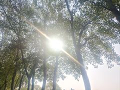 -秀水公园