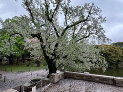 -东京国立博物馆