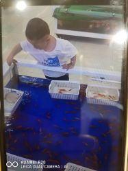 -孩子王童乐园(淮安万达店)