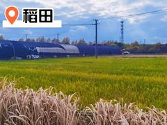 -菊园百果园