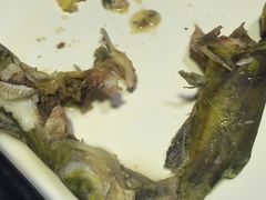 -星海汇海鲜自助烤肉火锅(百大店)