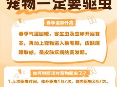 -康成宠物医院24H·CT·核磁共振