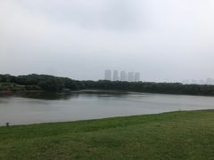 -盘龙城国家考古遗址公园