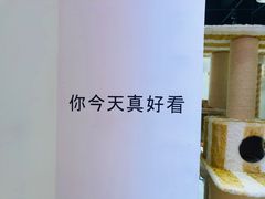 -藏猫猫咖啡主题馆(中央大道店)